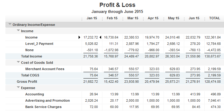 Income_Statement_Capture